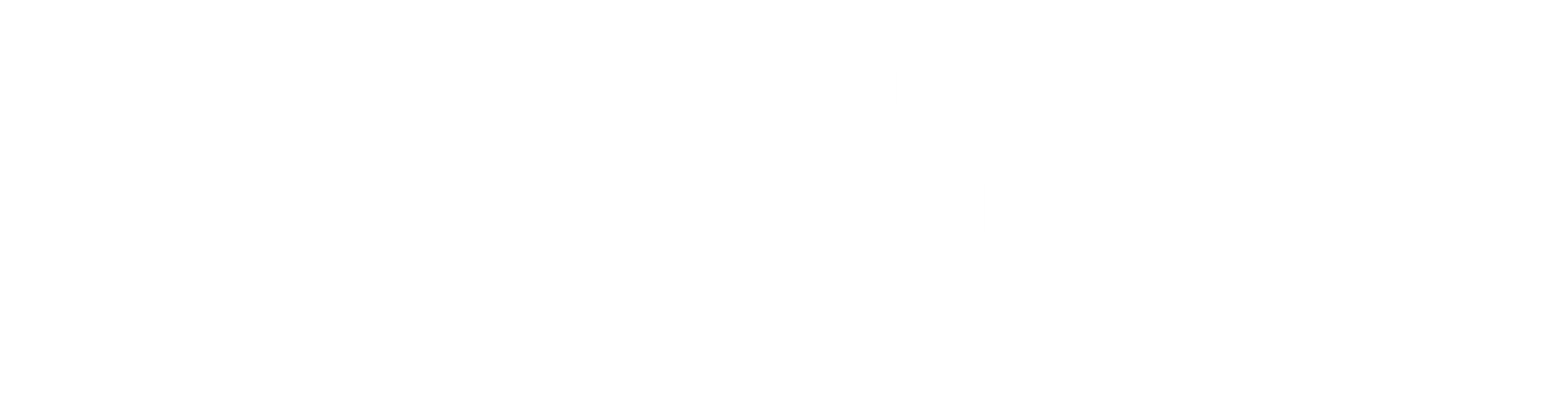 ES_Financiado_por_la_Unión_Europea_RGB_BLACK_Outline 1